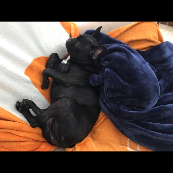 Meet your Posher, Debi - Picture 10 of 15